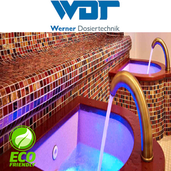 WDT